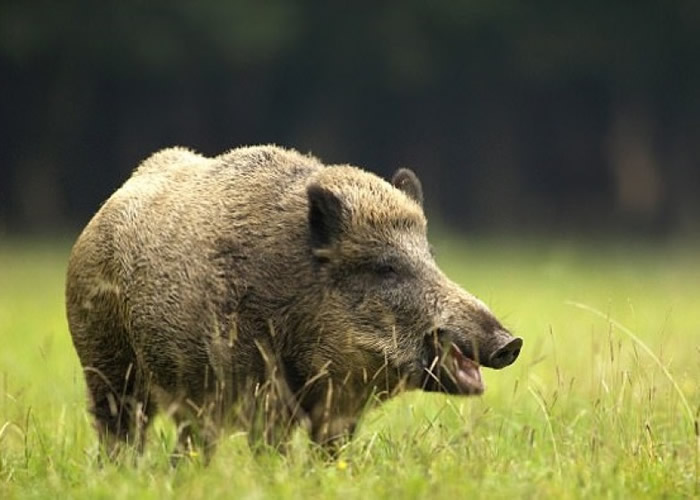 Ұ�����ڵķ��京�����س��ꡣ