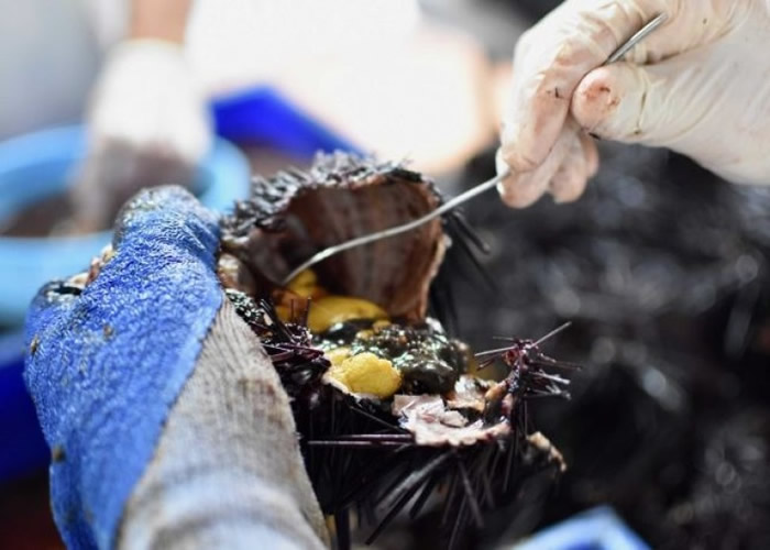 ��������ĺ����ǲ����˵���ͷ�á�