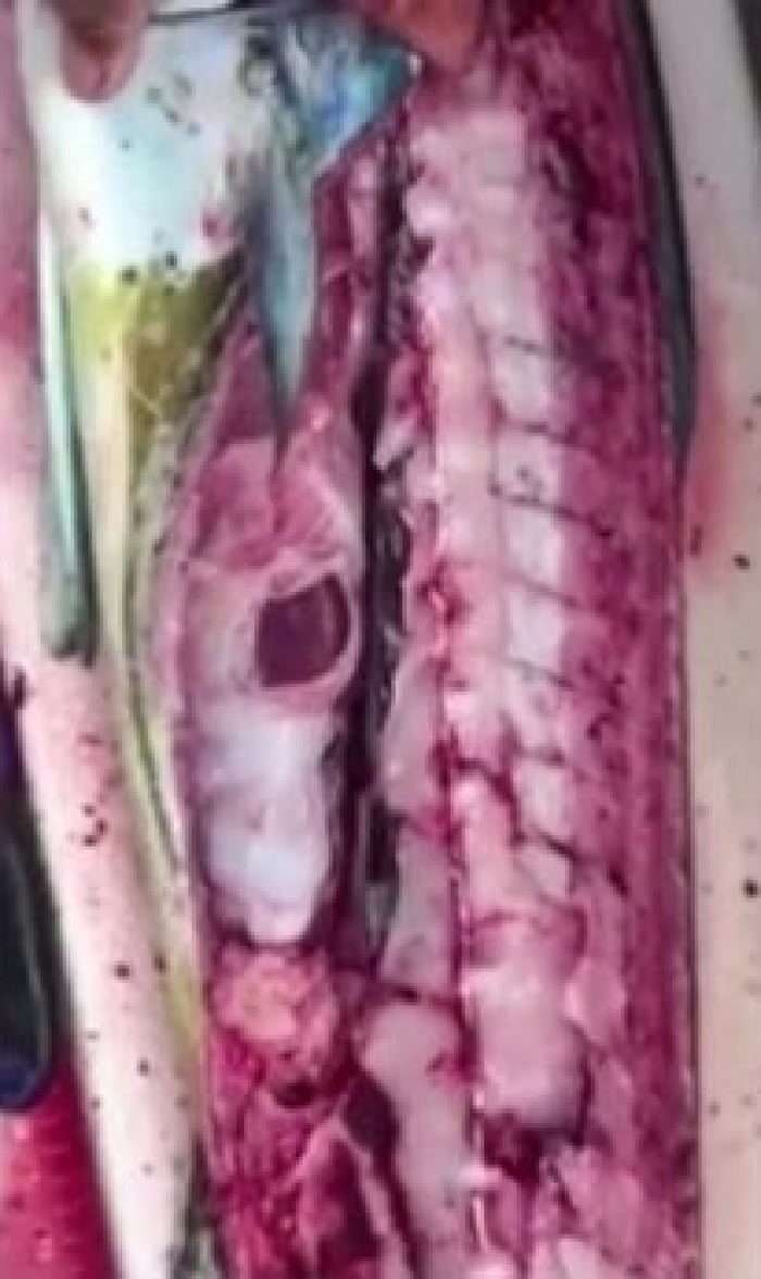 ��˹��������������� ����������������