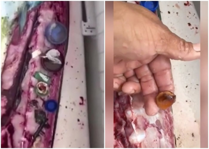 ��˹��������������� ����������������