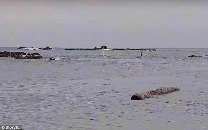 ��������ϣ����ɱ�˾�������ͯ�����ι�