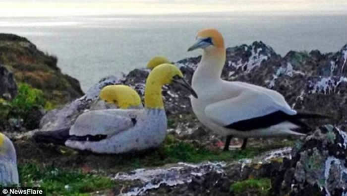 ��������¶��������νܶ������ɵ���ȥ��