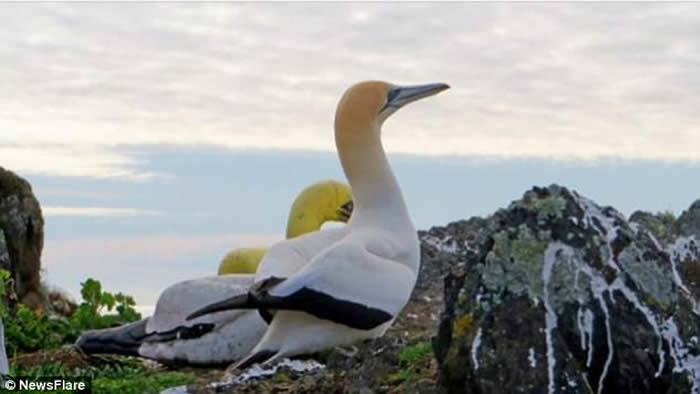 ��������¶��������νܶ������ɵ���ȥ��