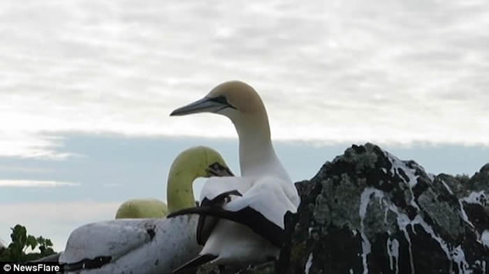 ��������¶��������νܶ������ɵ���ȥ��