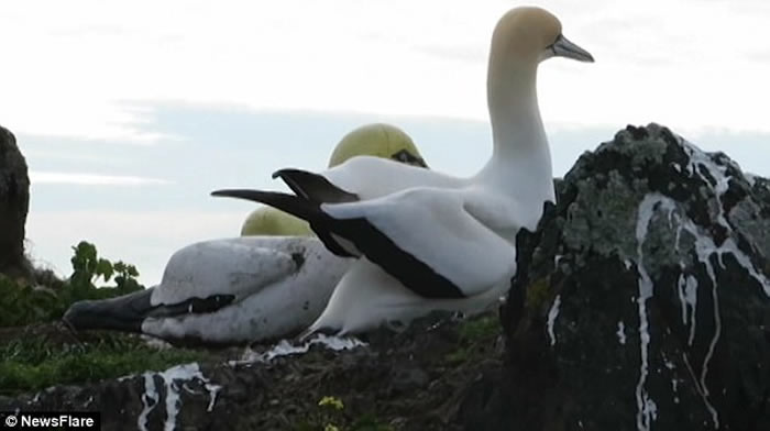 ��������¶��������νܶ������ɵ���ȥ��