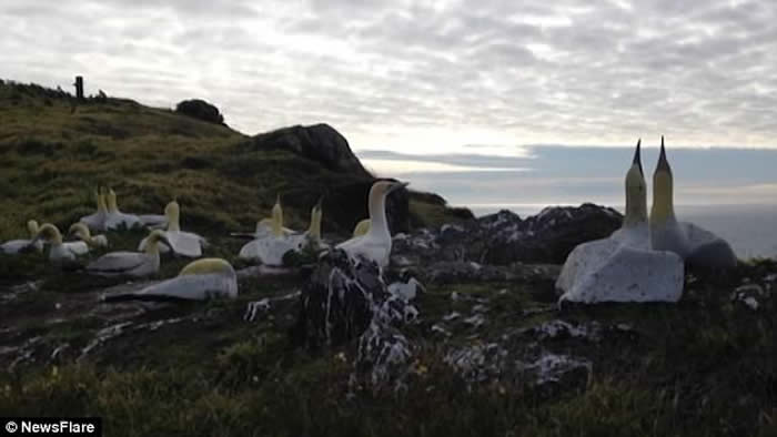 ��������¶��������νܶ������ɵ���ȥ��