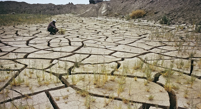 科学家开始预测地球什么时候将不再适宜人类和其他哺乳动物生活