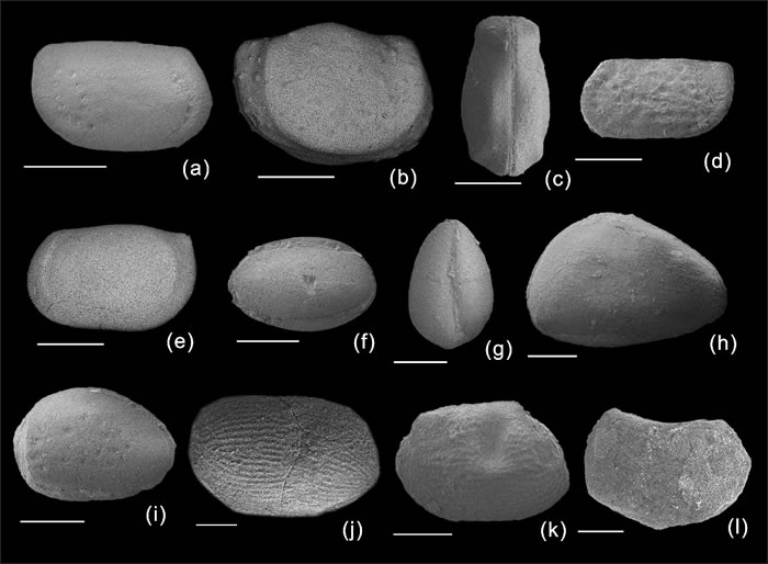 ��׼��������������������鳣��������Ĵ�������