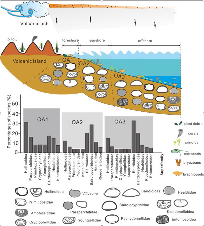 ��׼����������������������¶γ��������ͽ��������