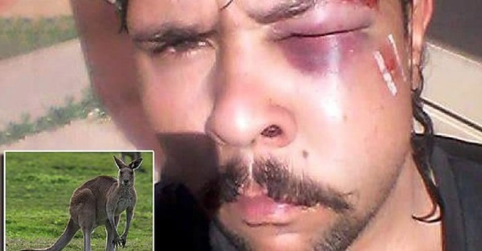 �Ĵ�����һֻ����������ǹ��׼�������˵��°�