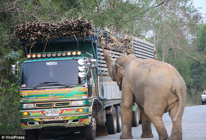 ̩һͷڹ·ϳԸʹ̱ͨ