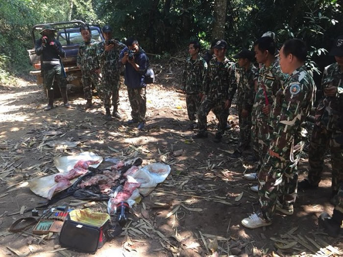 泰国丛林煮“黑豹汤” 盗猎者当场被逮捕