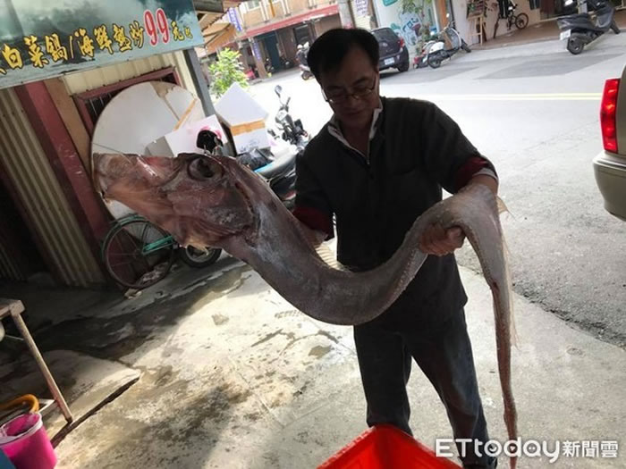 才捕获地震鱼就真的地震,许多人都被巧合惊呆了。(图/网友Wushi Port提供)