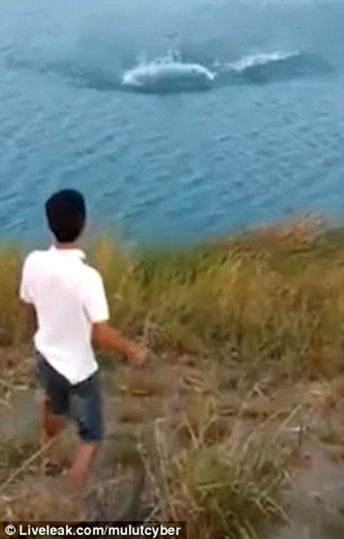 澳洲少年把小狗扔进鳄鱼湖 瞬间被吞噬