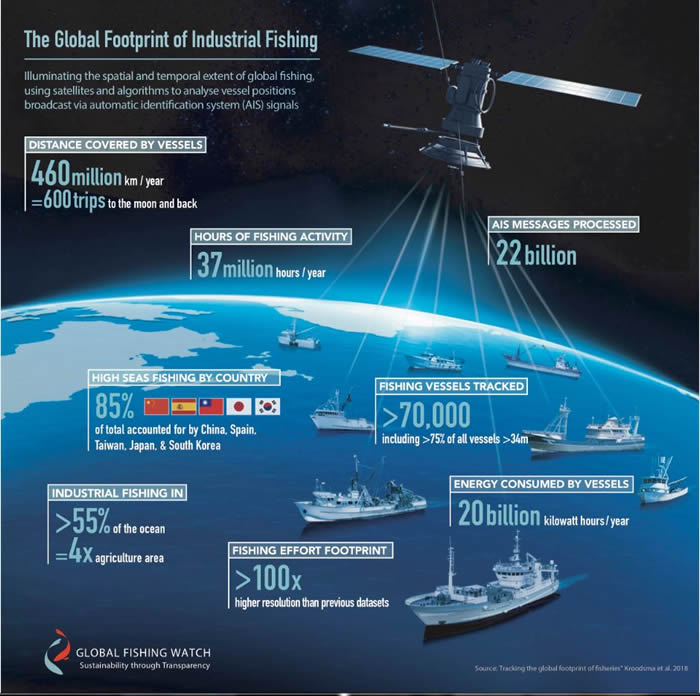 新研究指全球超过一半的海洋都有工业化捕捞活动