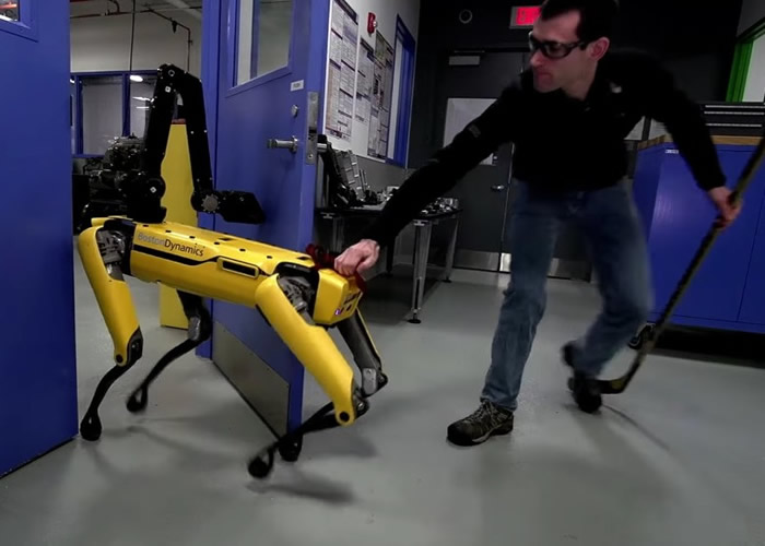 ������Ա���Ż���Ȯβ��������������󳶣��������ܱ���ƽ�⡣