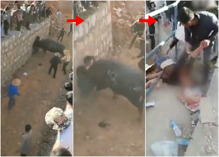 �����б���ţײ�˺󣬱��˾ȳ�ʱ��ʧȥ��ʶ��