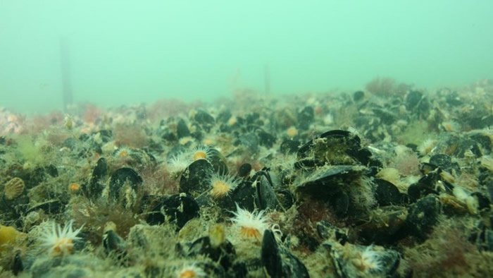 ��֯����ע򺽸״����