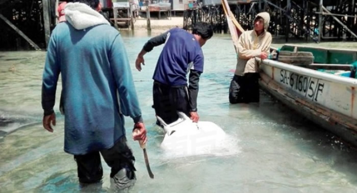 马来西亚沙巴渔民当众捕杀濒危鬼福魟、魔鬼鱼及鲨鱼 鲜血染红海面