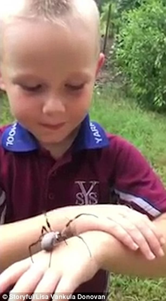 ������ʿ����ͯ����η��˫�ְ����ľ����