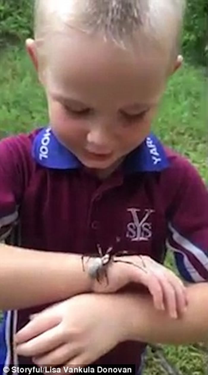 ������ʿ����ͯ����η��˫�ְ����ľ����