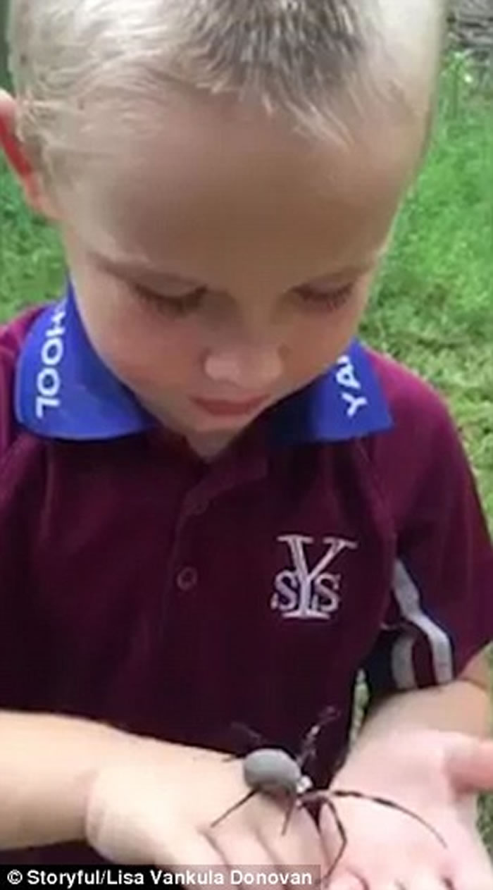 ������ʿ����ͯ����η��˫�ְ����ľ����