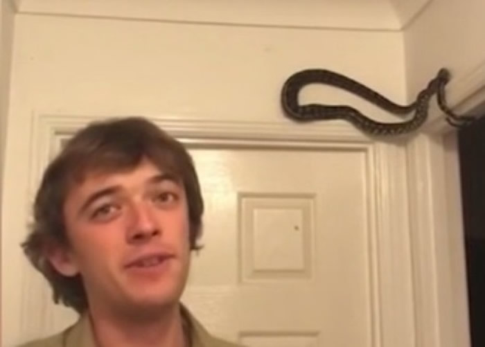 ���������͸����߽��������ԭ��