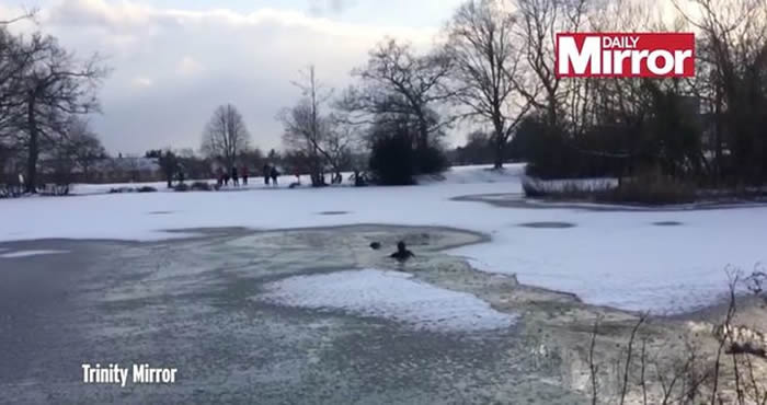 Ӣ�����ظ��¿���Ѫ�����޾庮����������ȹ�