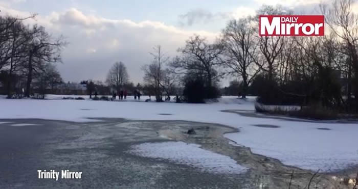 Ӣ�����ظ��¿���Ѫ�����޾庮����������ȹ�