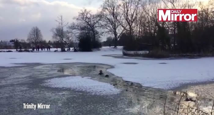 Ӣ�����ظ��¿���Ѫ�����޾庮����������ȹ�