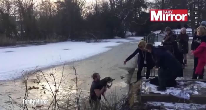 Ӣ�����ظ��¿���Ѫ�����޾庮����������ȹ�