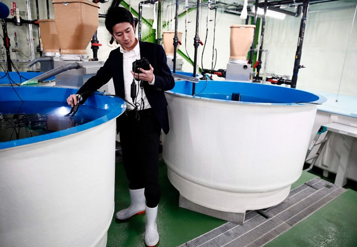 ʮ������С�ļ������ڵ������㡣