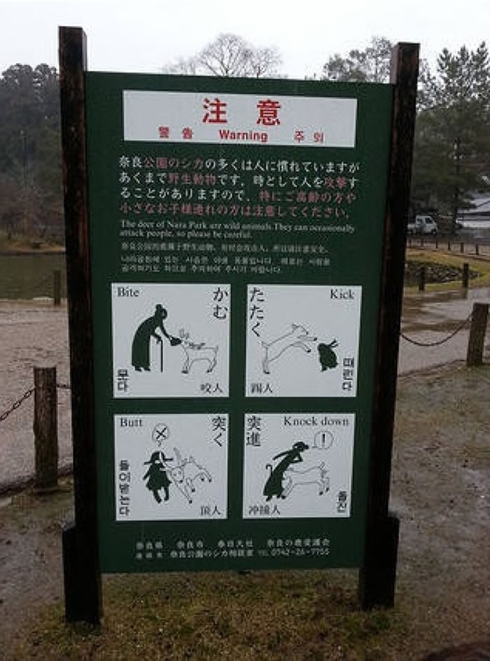 ͼΪ��԰��������ɫ��ʶ�塣