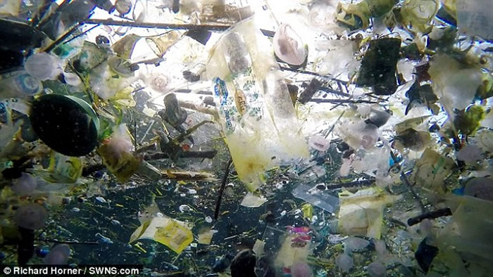 英国游客到印尼巴厘岛潜水拍到恐怖景象：海底成为塑料垃圾地狱