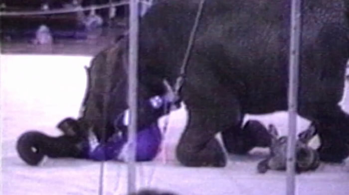 ̩���ڱ���ʱ����ѵ��ʦ�����������ʦ���ˡ�