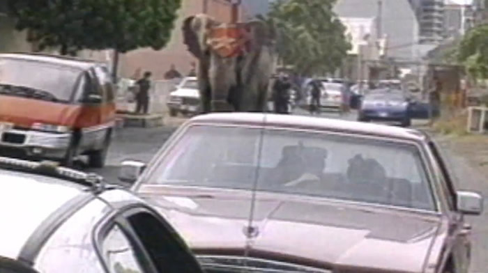 ̩���������񱼣��ŵ���·���������ܡ�