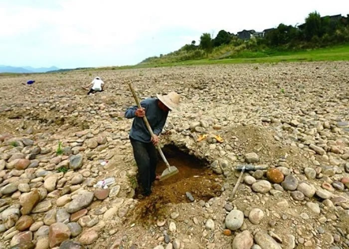 寻宝人在当地乱挖,令河滩上满目疮痍。