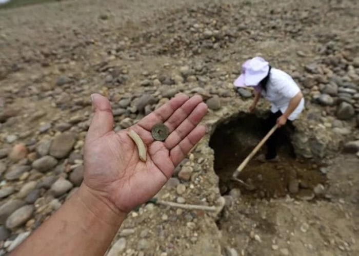 大批寻宝人闻讯前来“寻宝”,对当地文物安全构成严重威胁。