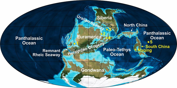 ��ʯ̿��ȫ��ŵ����ֲ�ͼ�������о����㻪�Ϲ����޵���������