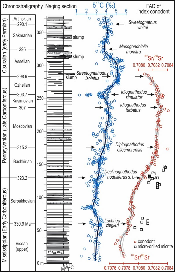 ����������״ͼ��̼����ͬλ��