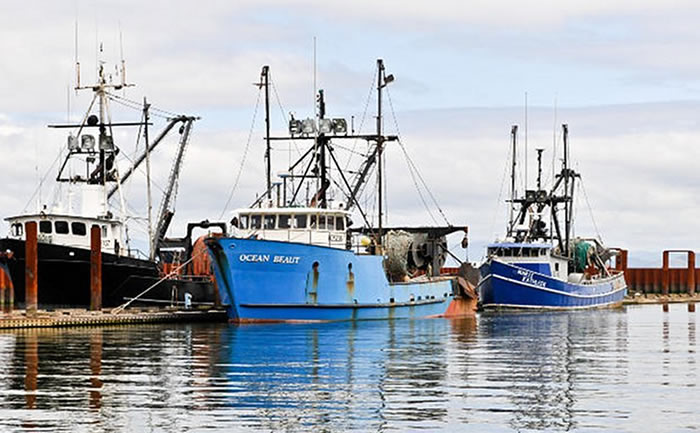 鱼类种群最大化如何在长时期中也能减少兼捕