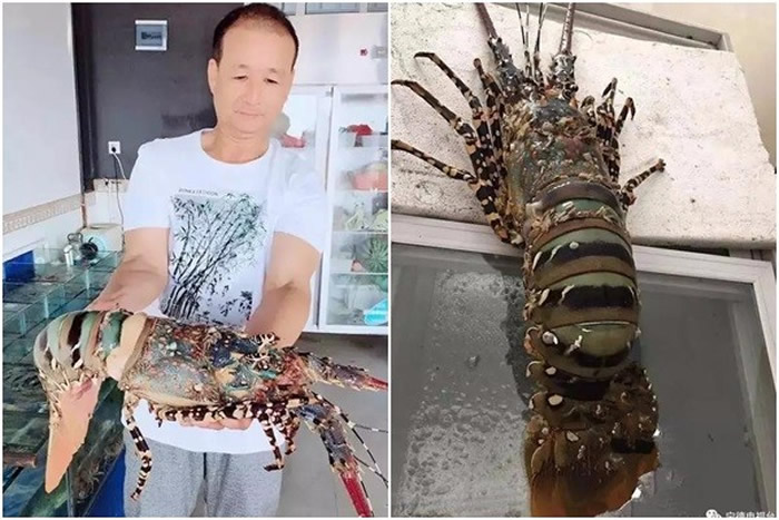 ��ǰ���и������񲶵��л�������Ϻ���ּ���������֮�ķ����Ѻ����꣬����5����������ѹ���ʳ�����ʡ�