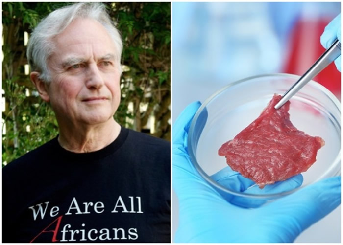 ����˹����ͼ���������ɷ�ԡ��������⡱�����ʡ�