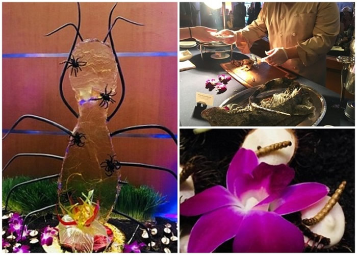 �������������ἰ�����������ʳ�ġ�