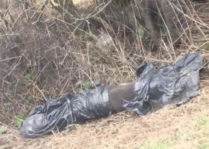 反对斗狗民间组织悬红缉凶。