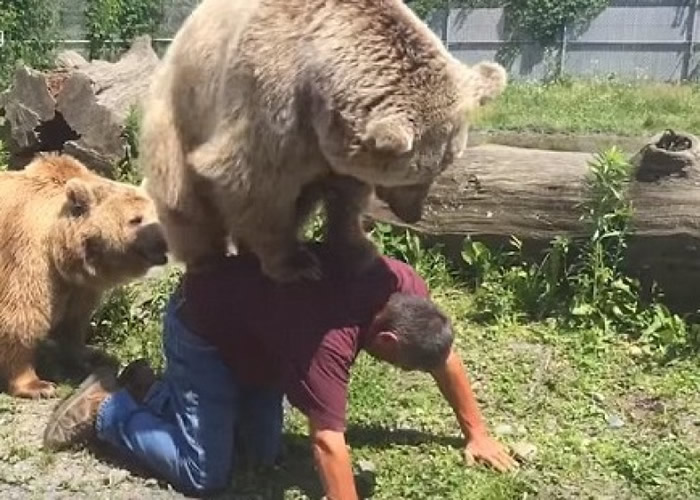 ����ŦԼһֻ����������̤��ѵ��Ա��������޺�