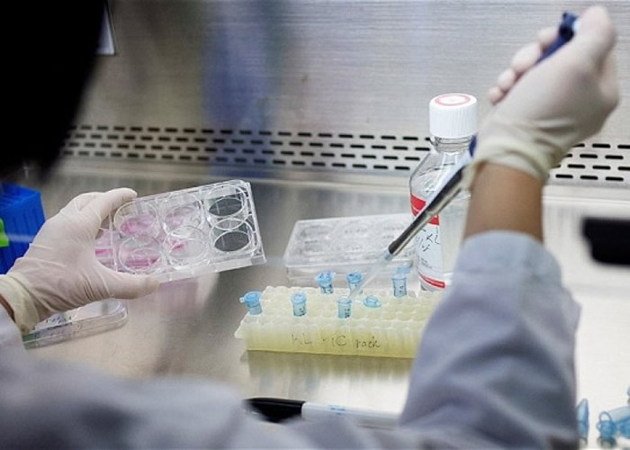 研究发现,移植干细胞能有效减低多发性硬化症复发机会。