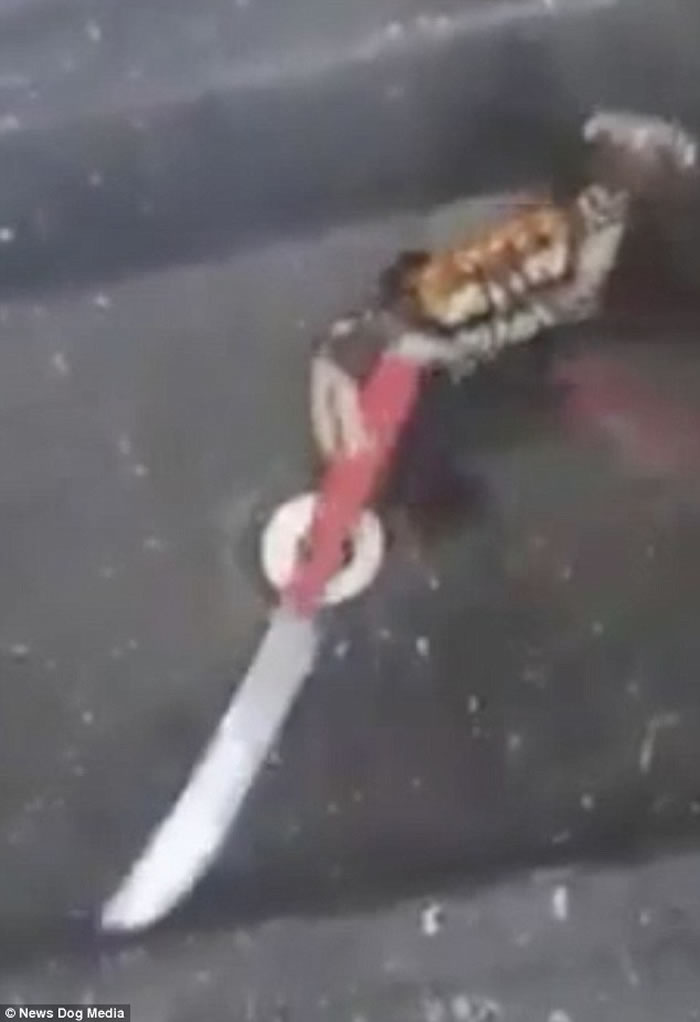 �����û��ô���ף����������зǯ���������ݡ���з��ս��