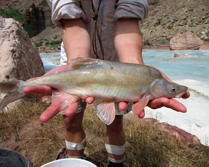 联合国:生物多样性正告急 亚洲2048年将无渔获