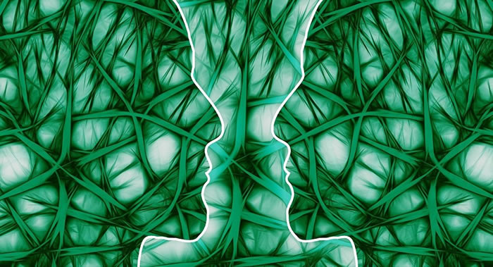 ����ҽ������һ���µ���������